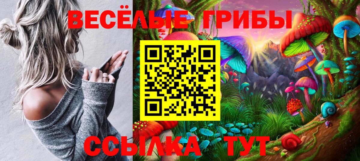 Псилоцибиновые грибы прущие грибы Кинель